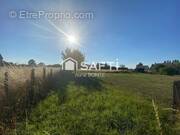 Photo 1 - Terrain à BARC