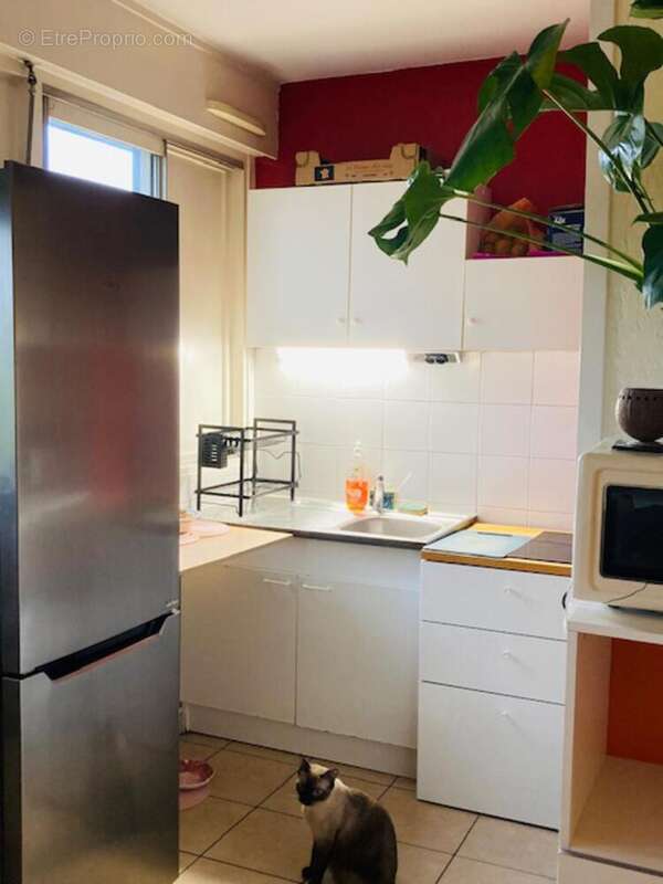 Photo 4 - Appartement à VILLEURBANNE