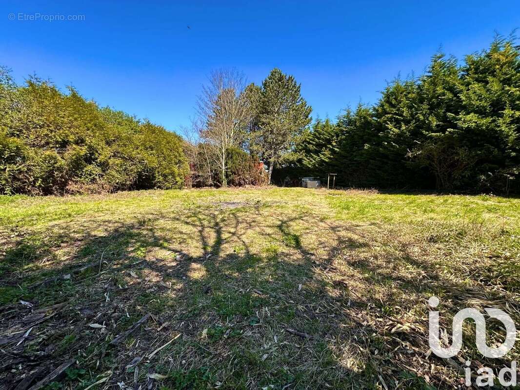 Photo 2 - Terrain à ALLOUAGNE