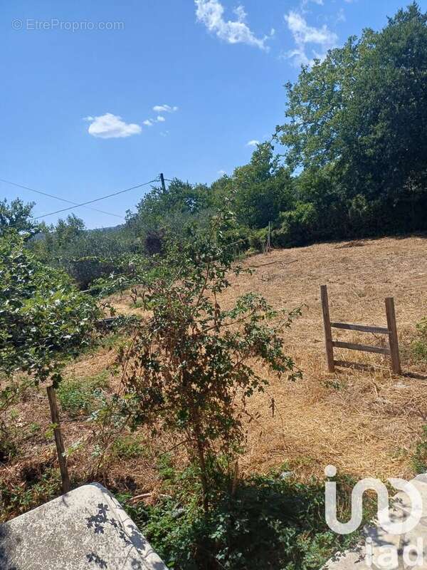 Photo 4 - Maison à CALLAS