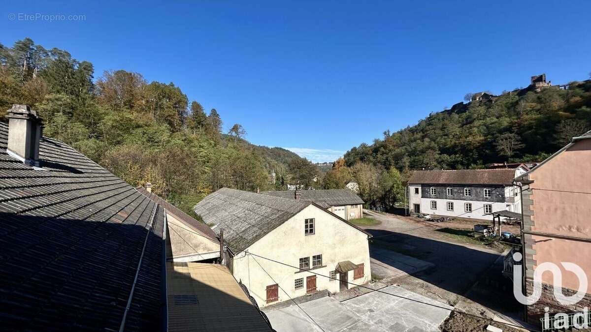 Photo 3 - Appartement à LUTZELBOURG