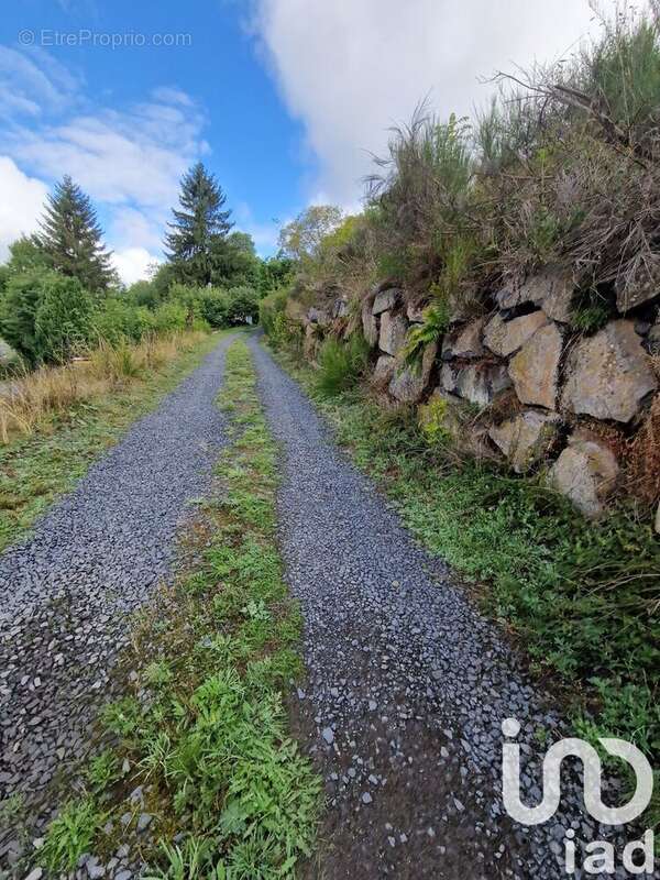 Photo 2 - Maison à PRESAILLES