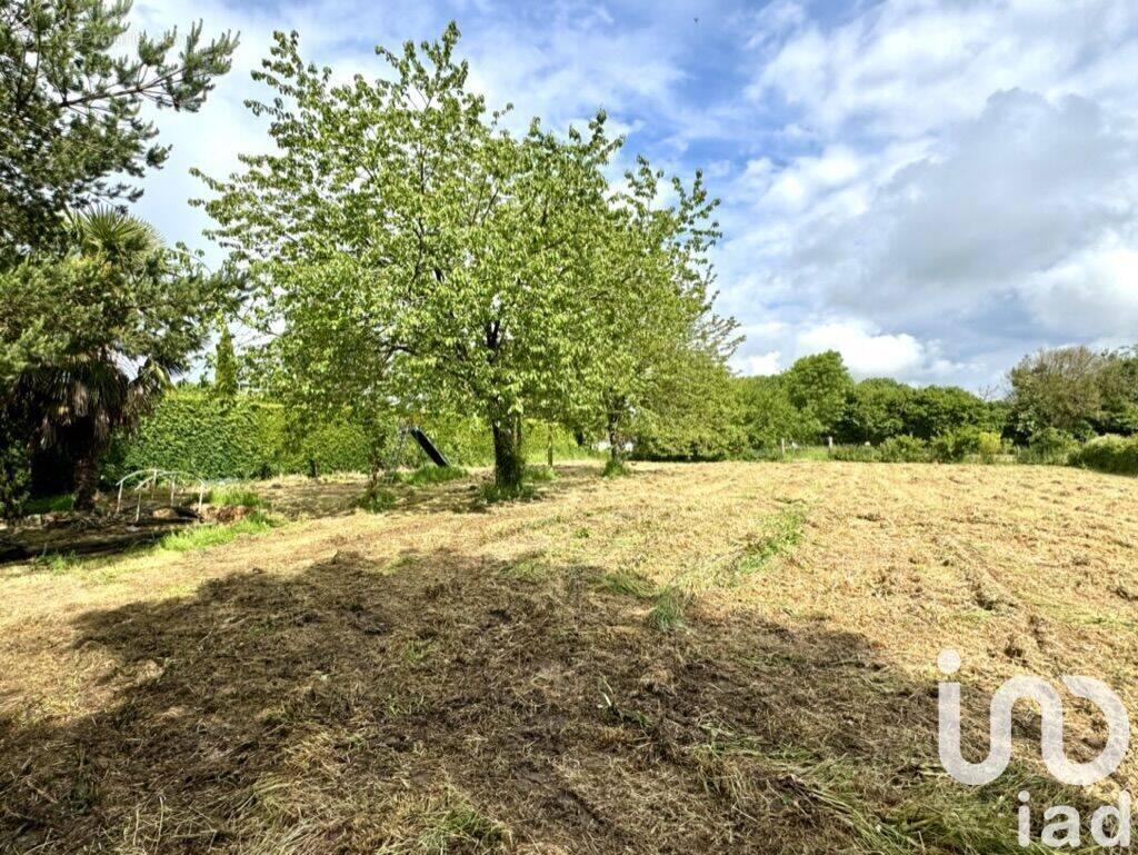 Photo 1 - Terrain à REUX