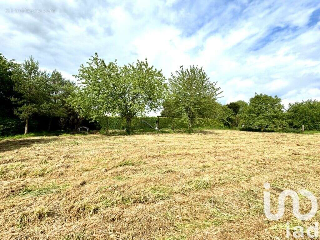 Photo 4 - Terrain à REUX