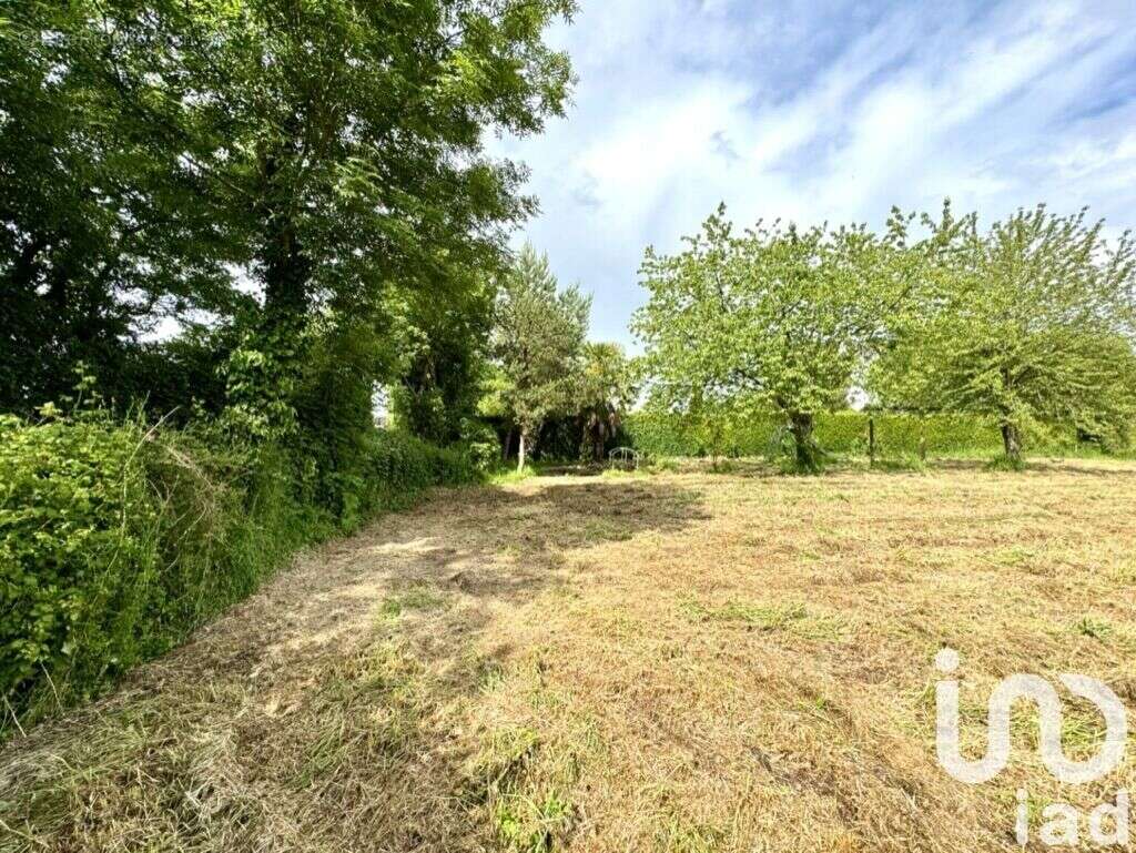 Photo 5 - Terrain à REUX