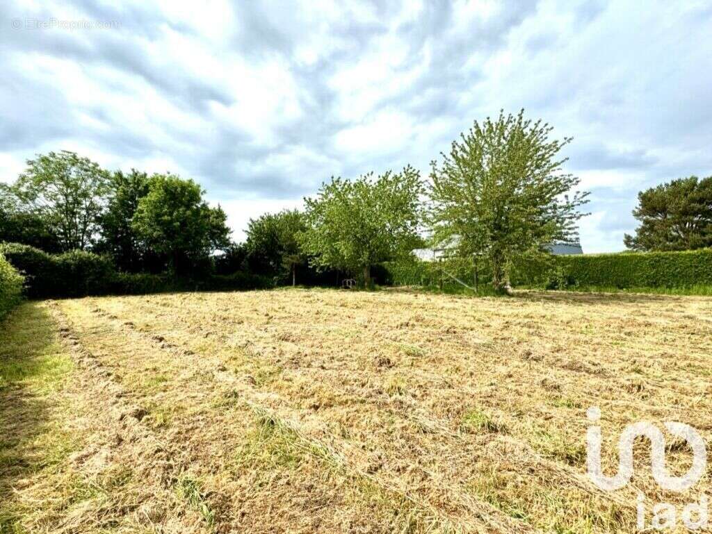 Photo 6 - Terrain à REUX