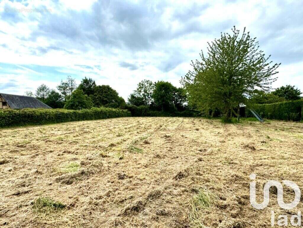 Photo 7 - Terrain à REUX