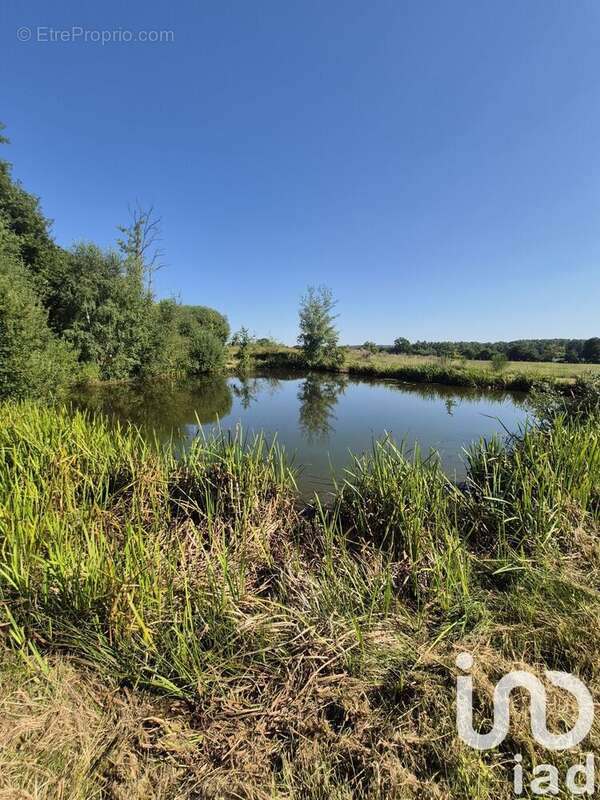 Photo 2 - Terrain à FERRIERES-EN-BRAY