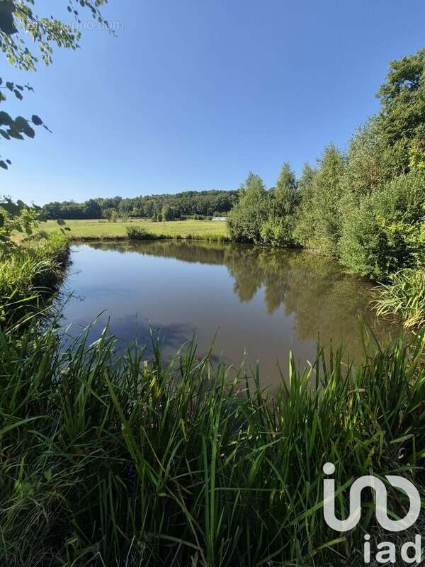 Photo 3 - Terrain à FERRIERES-EN-BRAY