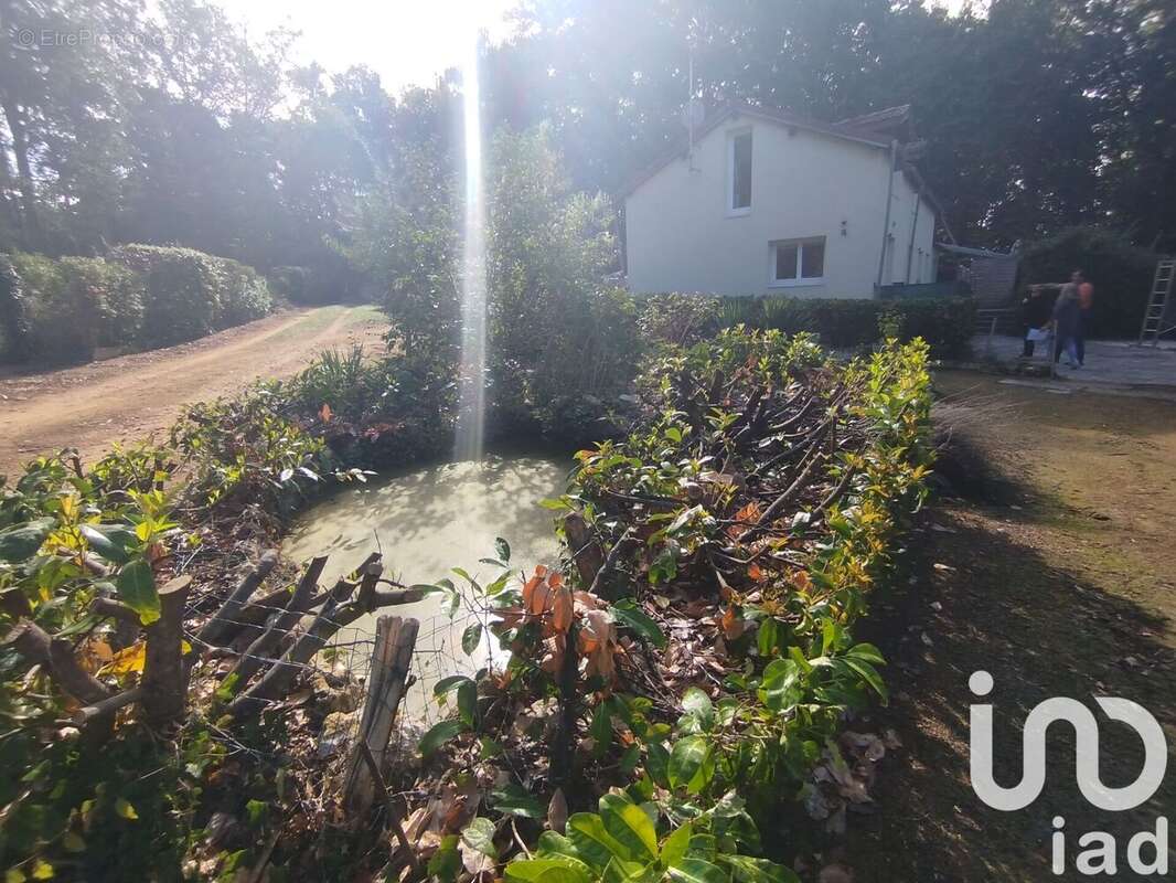 Photo 2 - Maison à MONTMIRAIL