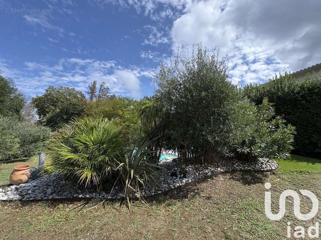 Photo 5 - Maison à CARBON-BLANC