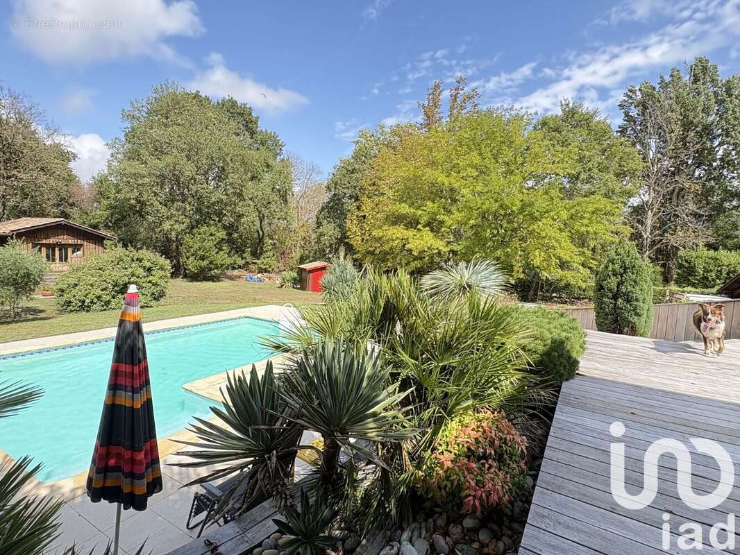 Photo 7 - Maison à CARBON-BLANC