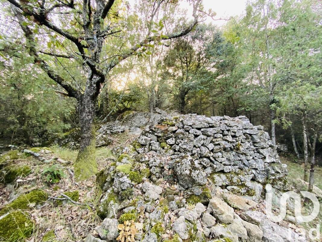 Photo 1 - Terrain à CABRIS