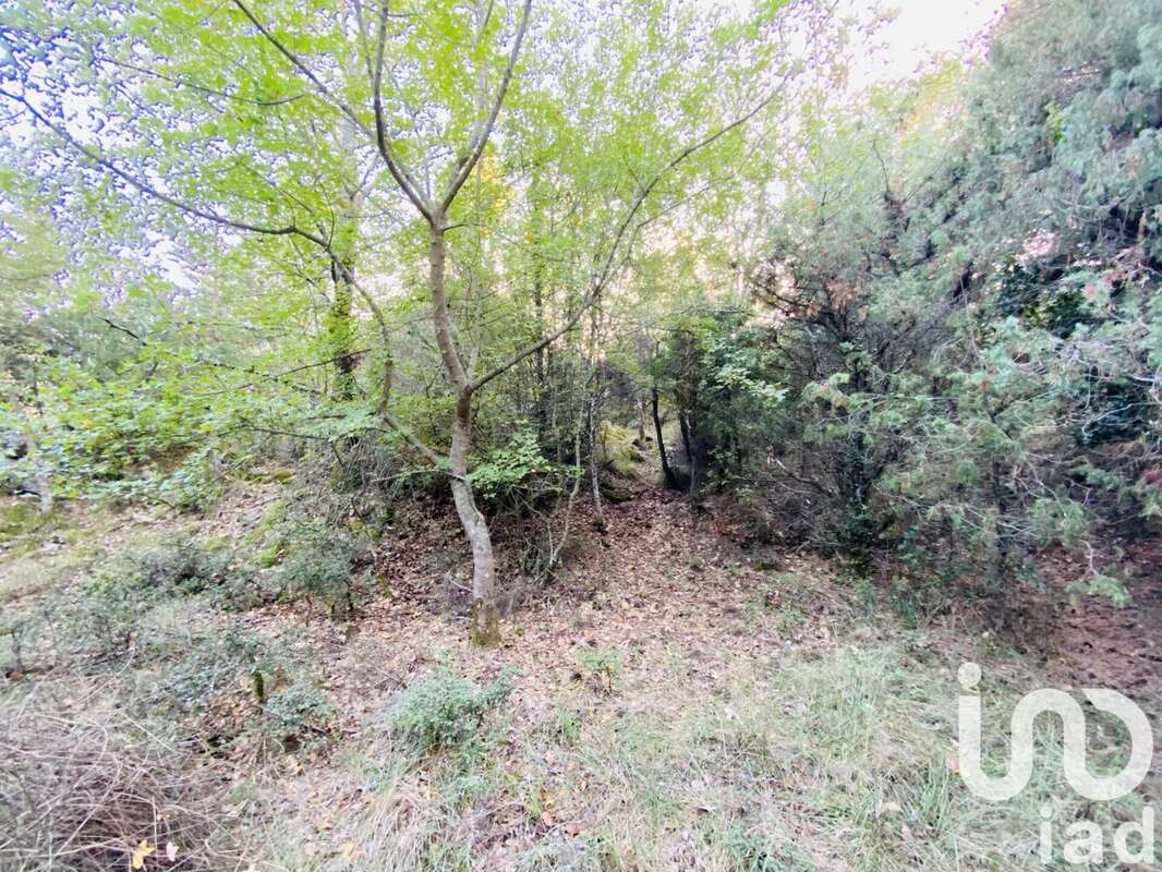 Photo 2 - Terrain à CABRIS
