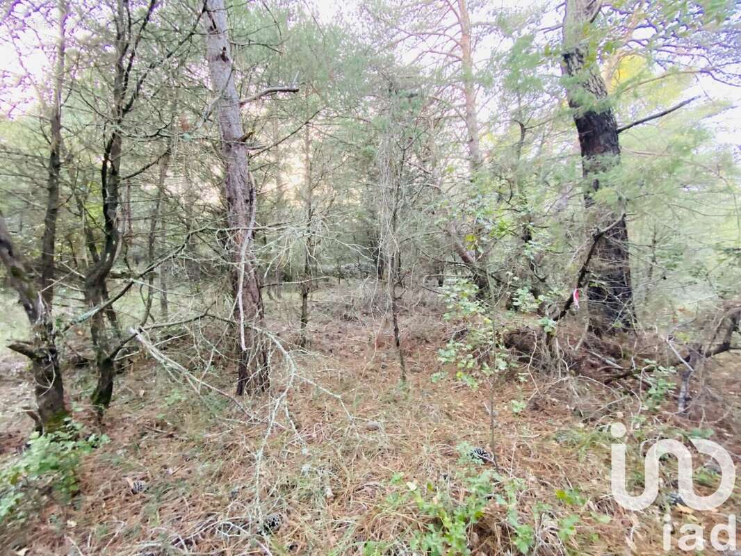 Photo 6 - Terrain à CABRIS