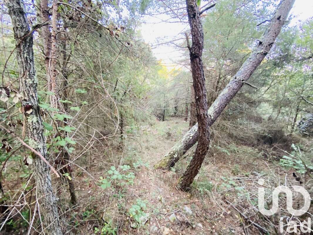 Photo 7 - Terrain à CABRIS