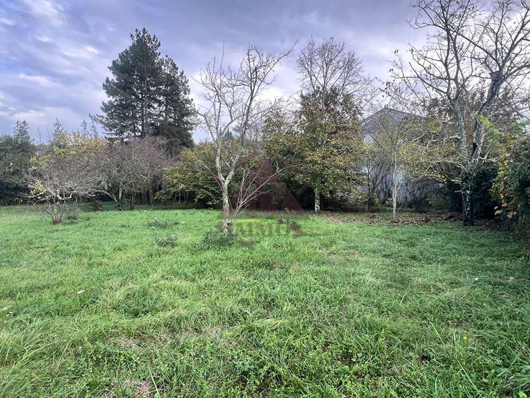 Terrain à SAINT-PAUL-LE-JEUNE