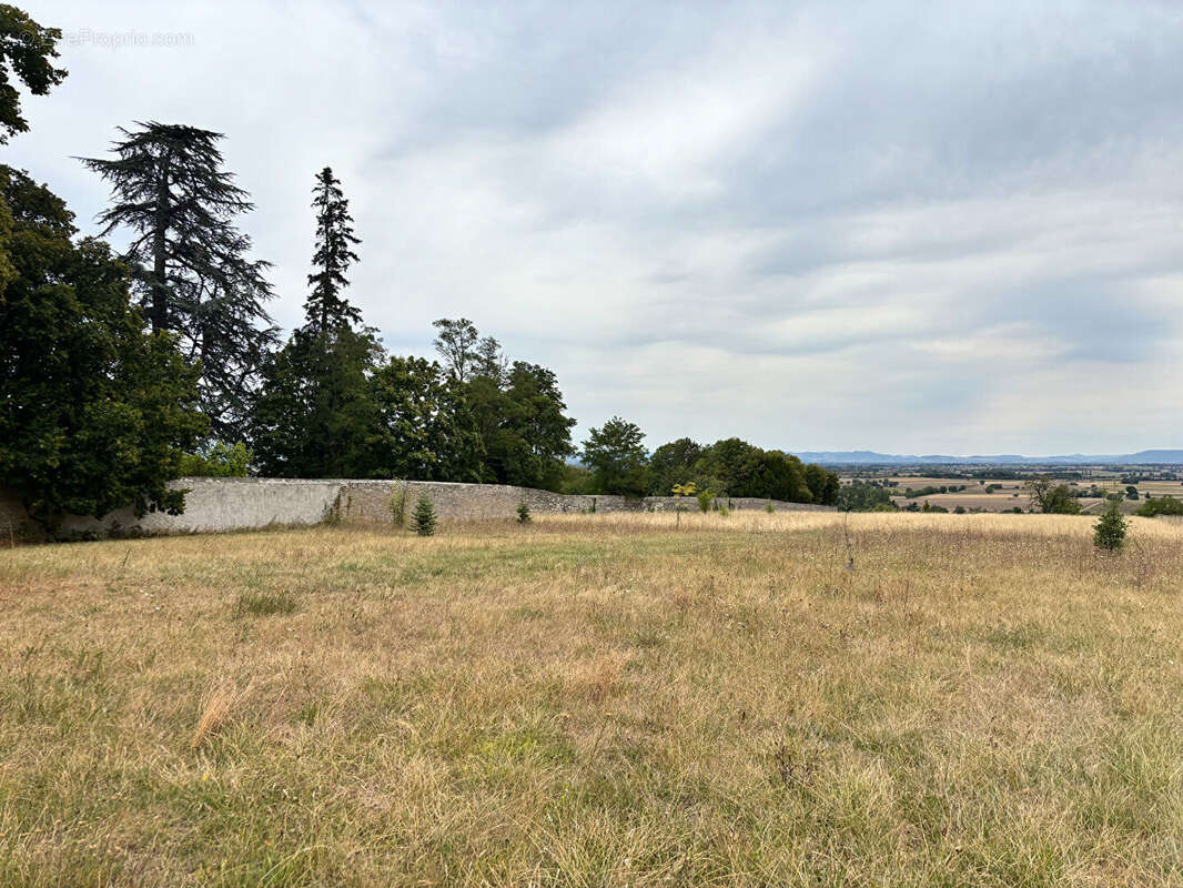 Terrain à ARTONNE