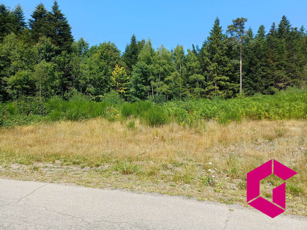 Terrain à LE CHAMBON-SUR-LIGNON