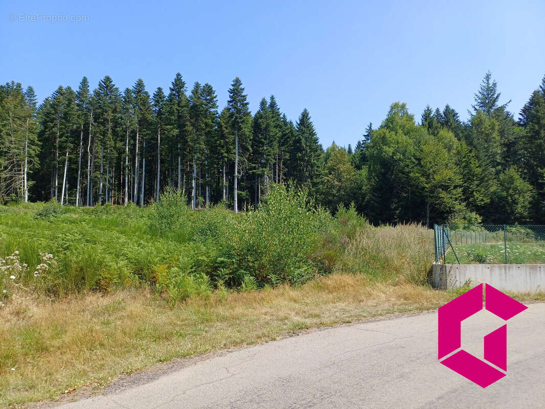 Terrain à LE CHAMBON-SUR-LIGNON