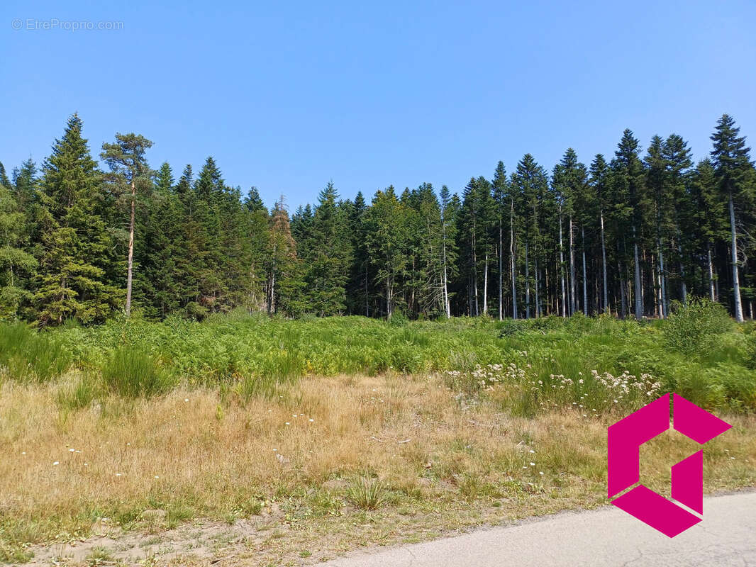 Terrain à LE CHAMBON-SUR-LIGNON