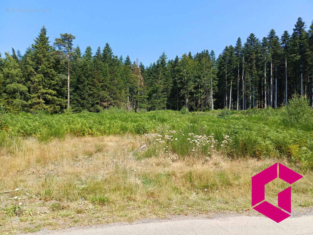 Terrain à LE CHAMBON-SUR-LIGNON