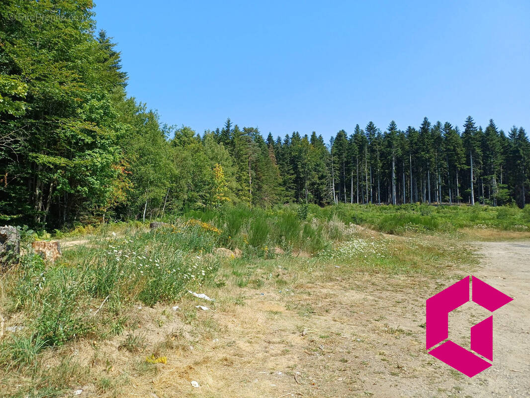 Terrain à LE CHAMBON-SUR-LIGNON