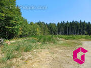 Terrain à LE CHAMBON-SUR-LIGNON