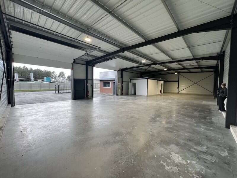 Commerce à BELIN-BELIET