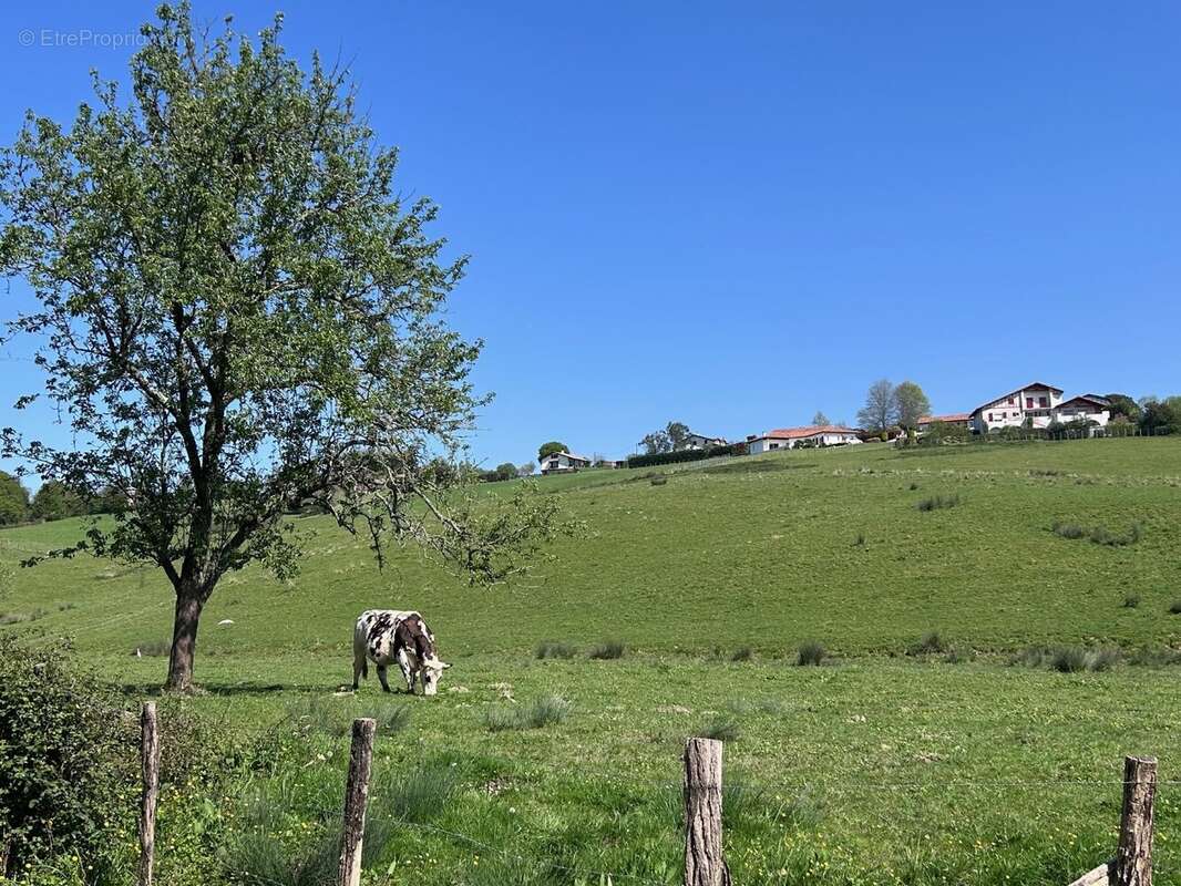 Appartement à BARDOS