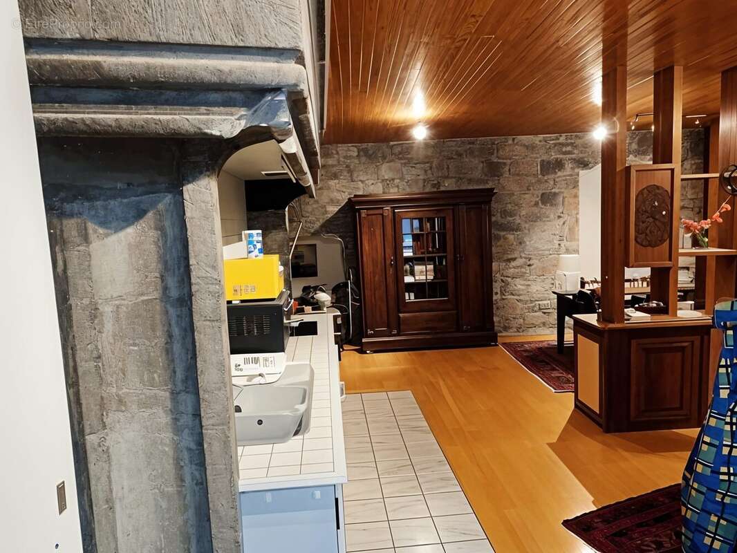 Appartement à BESSE-ET-SAINT-ANASTAISE