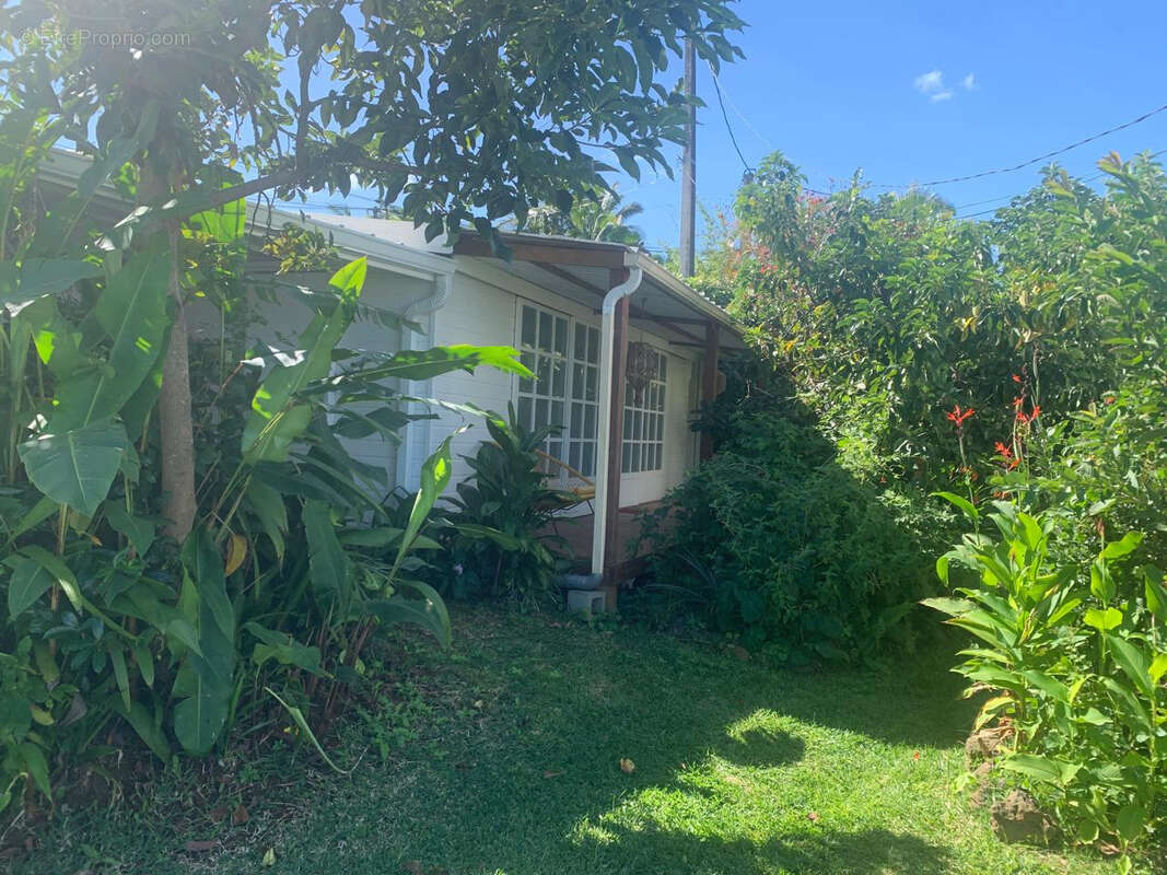 Maison à PETITE-ILE