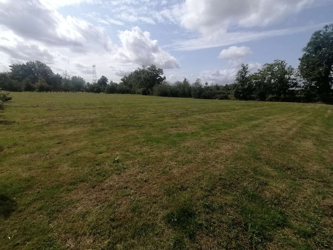 Terrain à BARRY-D&#039;ISLEMADE