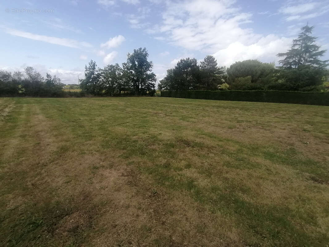 Terrain à BARRY-D&#039;ISLEMADE