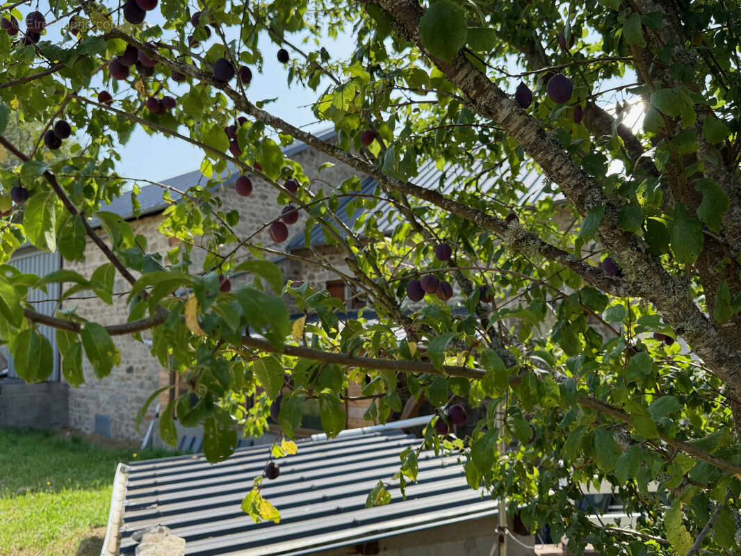 Maison à GOUTTIERES