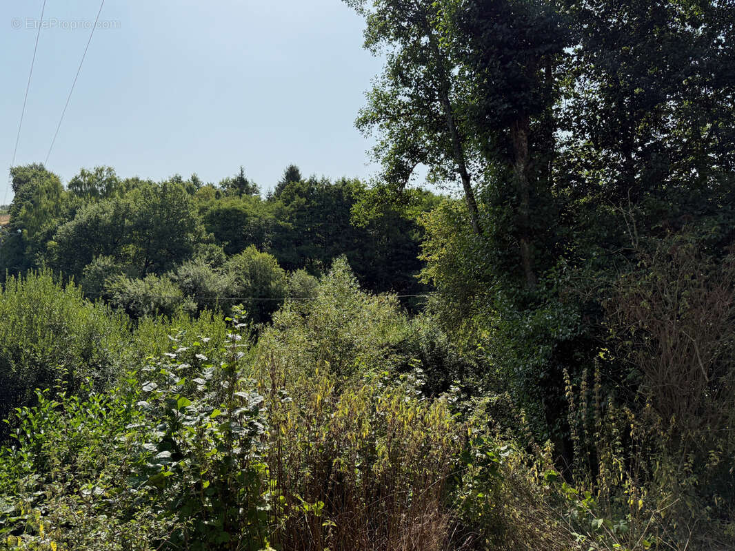 Maison à GOUTTIERES