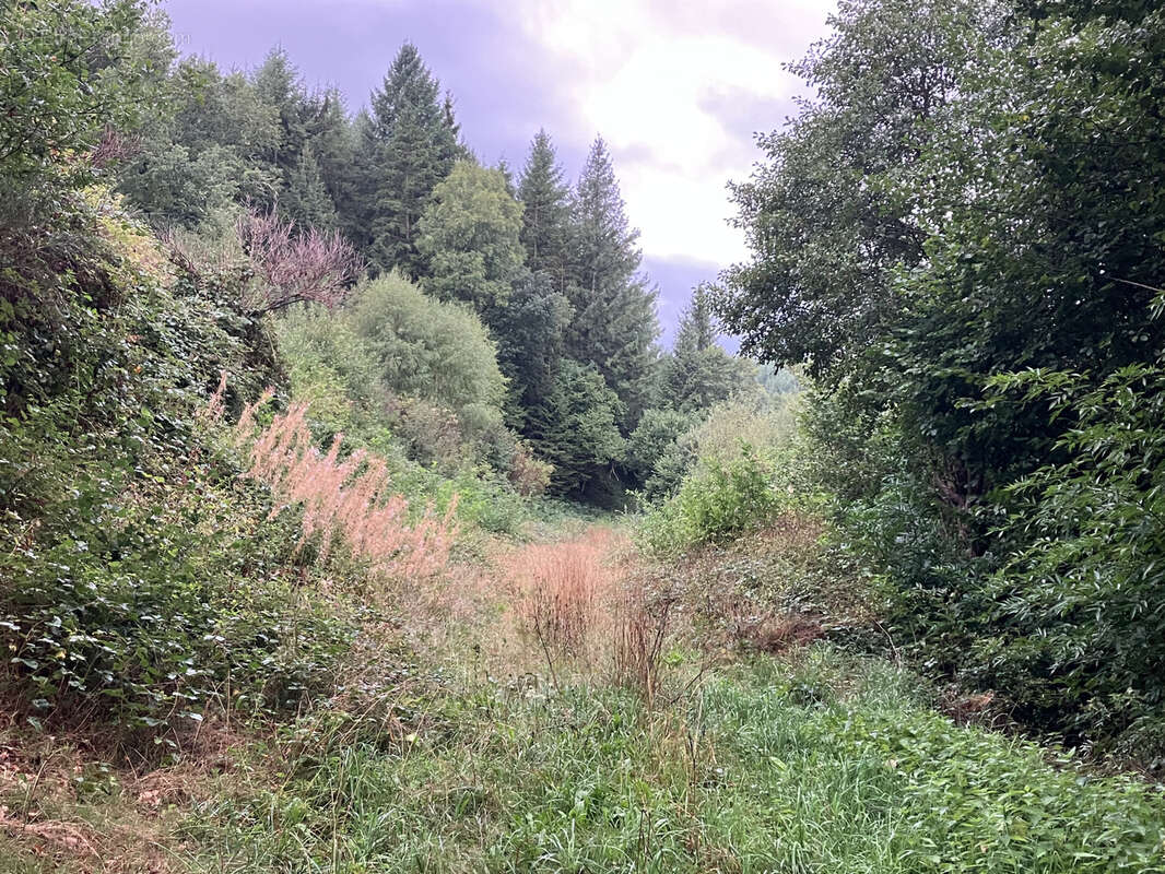 Maison à GOUTTIERES
