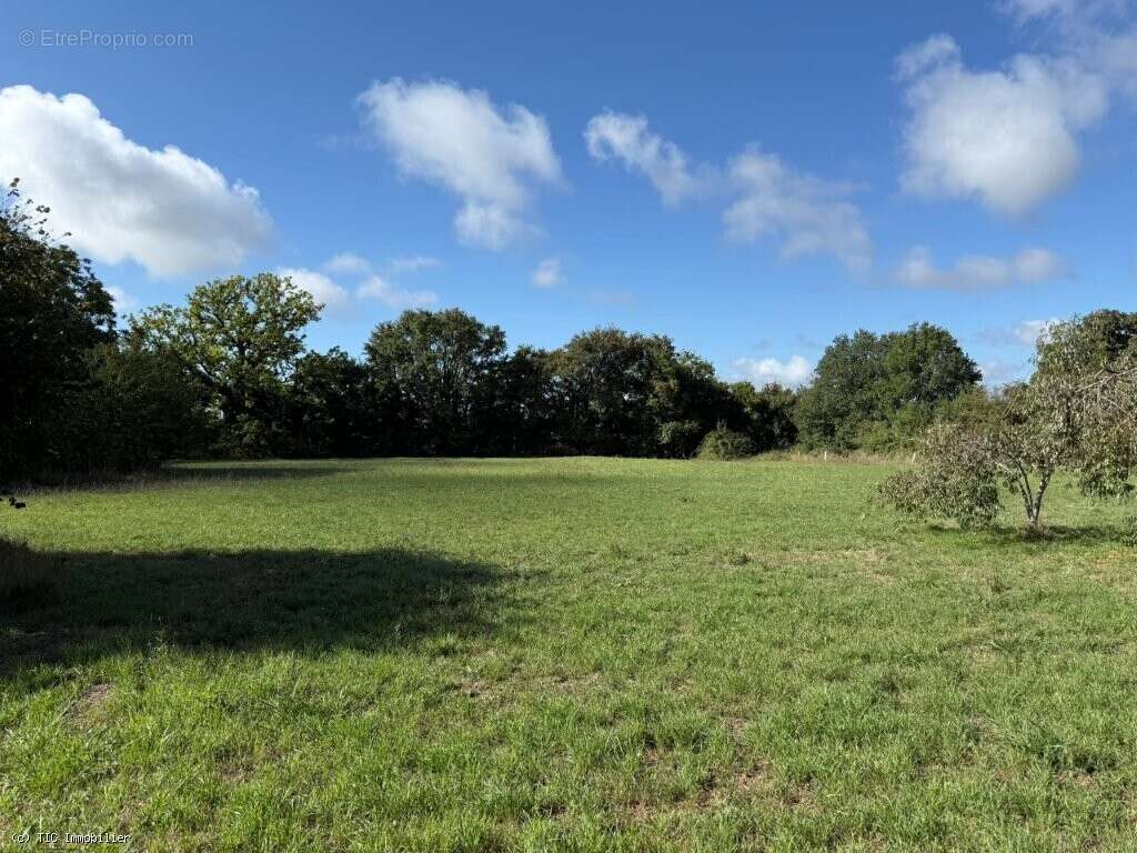 Maison à VILLEFAGNAN