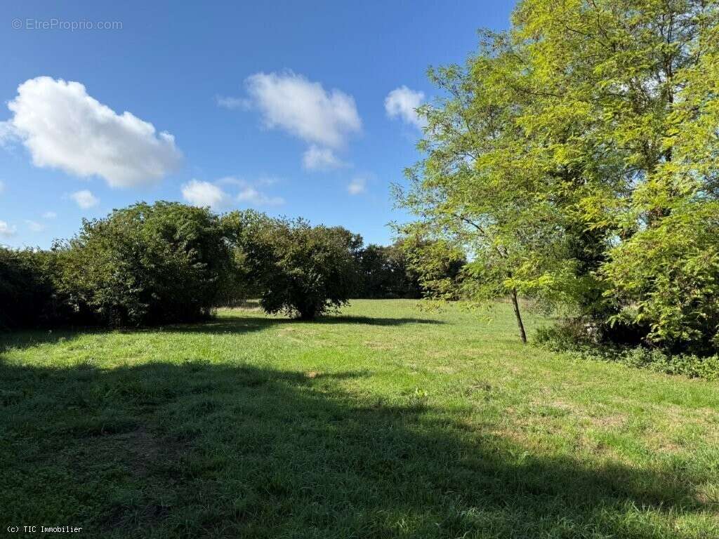 Maison à VILLEFAGNAN