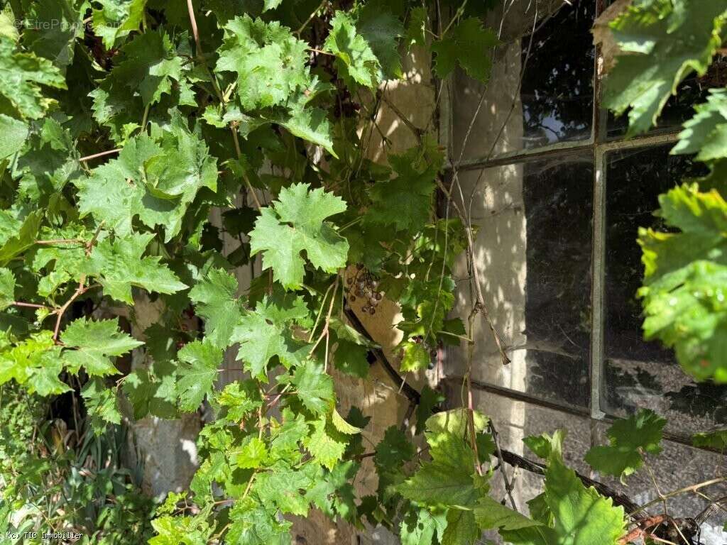 Maison à VILLEFAGNAN