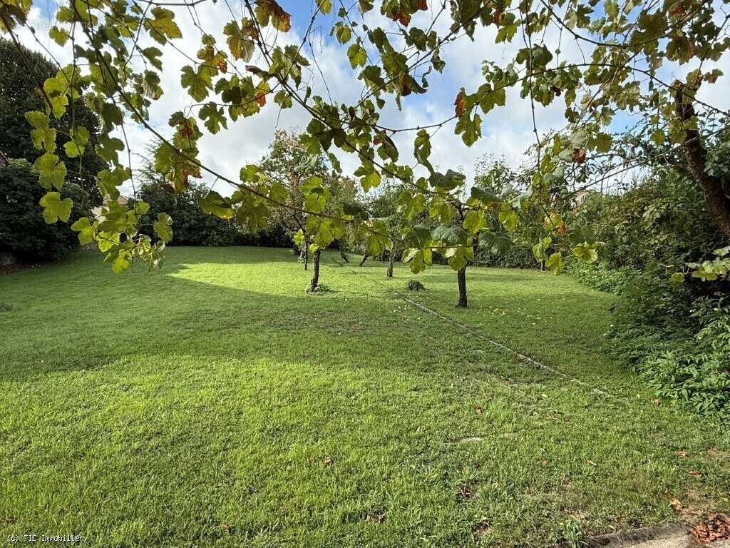 Maison à VILLEFAGNAN