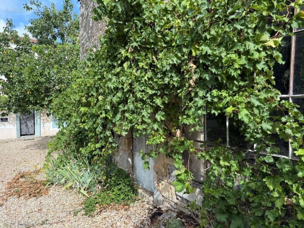 Maison à VILLEFAGNAN