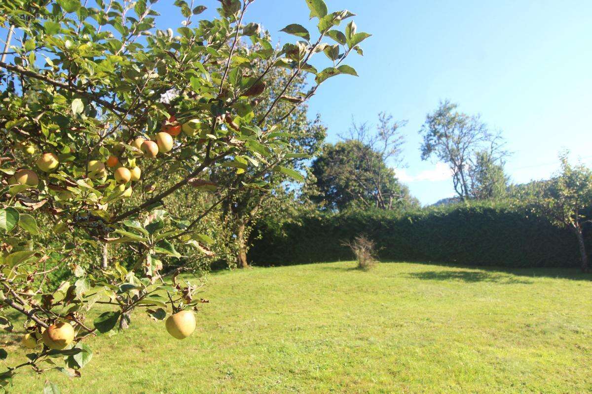 Maison à LE THILLOT