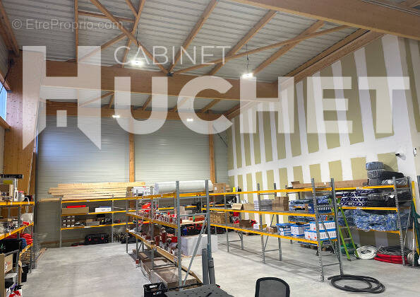 Commerce à COLOMBELLES