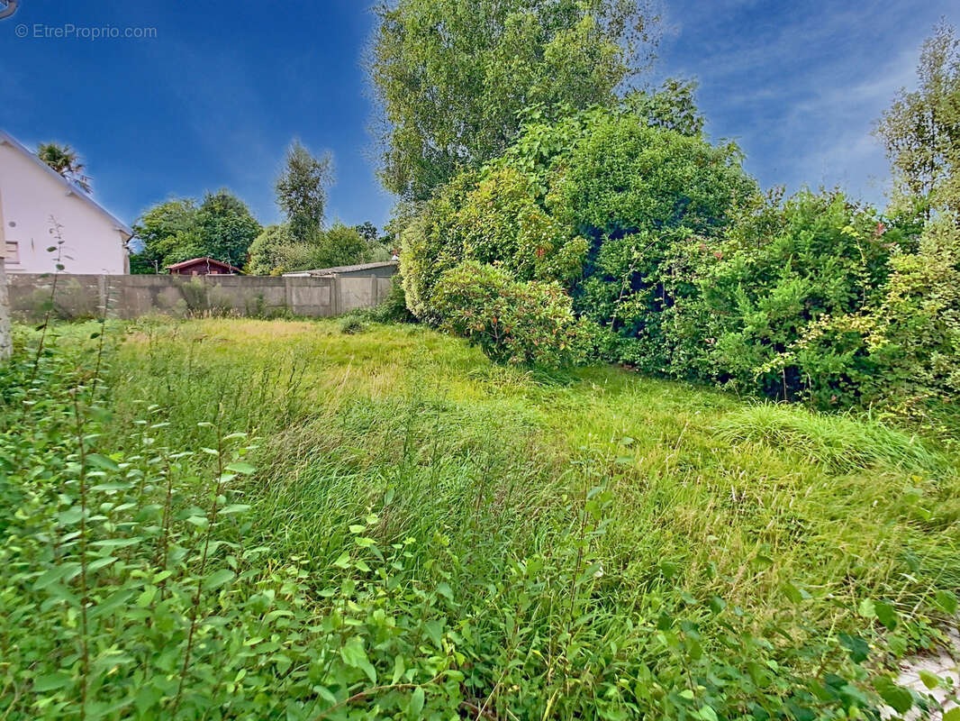 Maison à LA HAYE-DU-PUITS