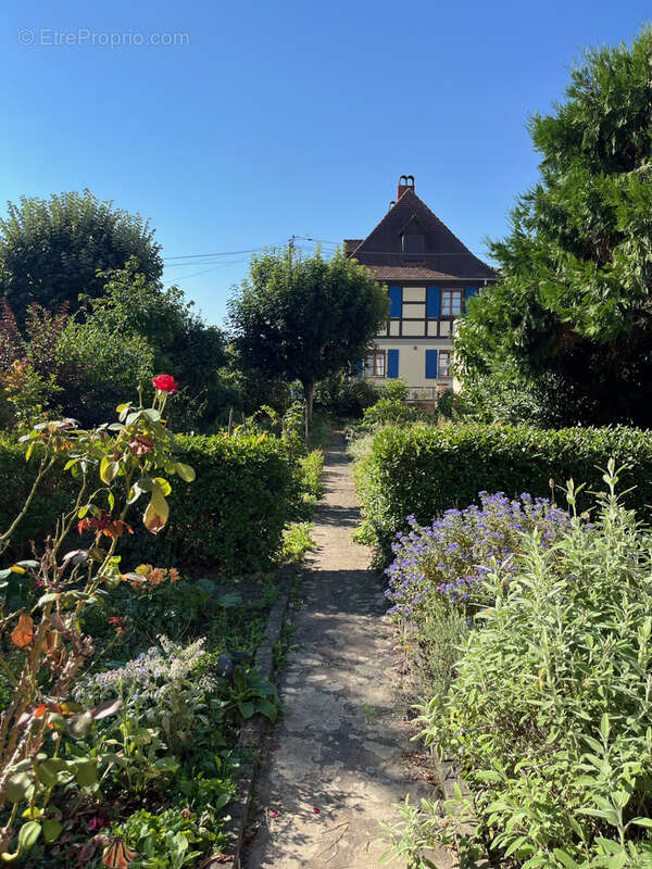 Appartement à OSTHEIM
