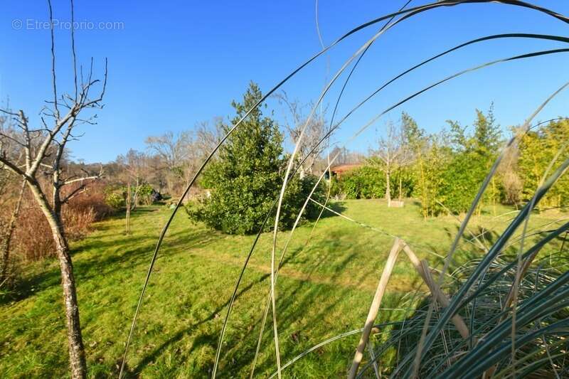 Maison à SAINT-EMILAND