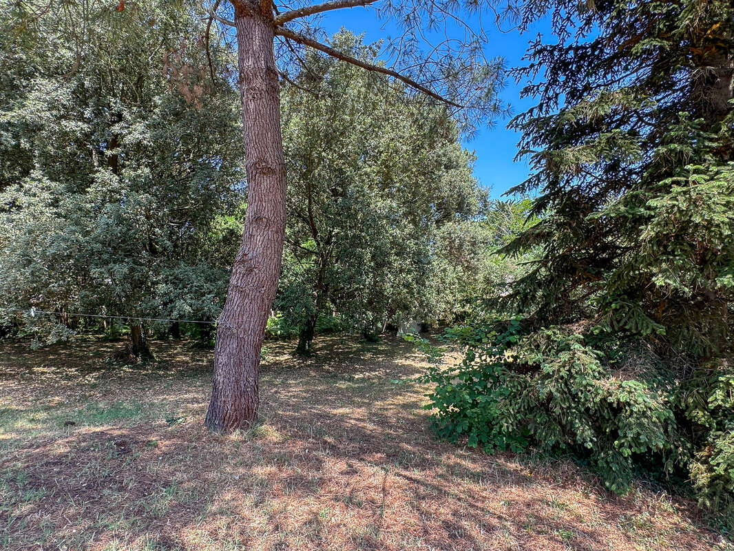 Terrain à SAINT-PALAIS-SUR-MER