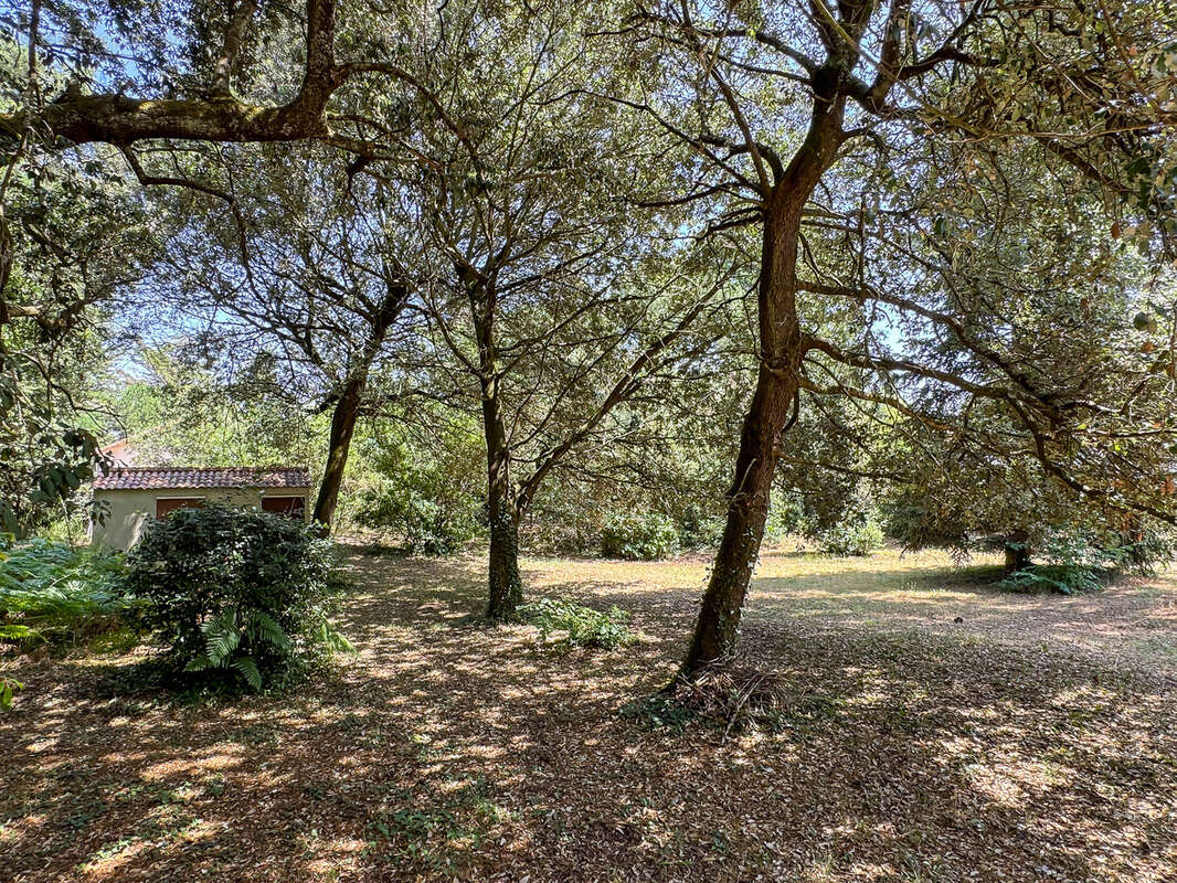 Terrain à SAINT-PALAIS-SUR-MER