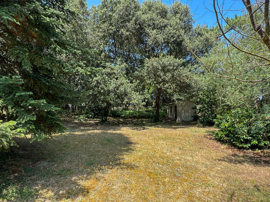 Terrain à SAINT-PALAIS-SUR-MER